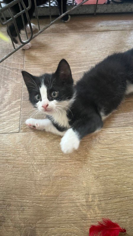 Luna