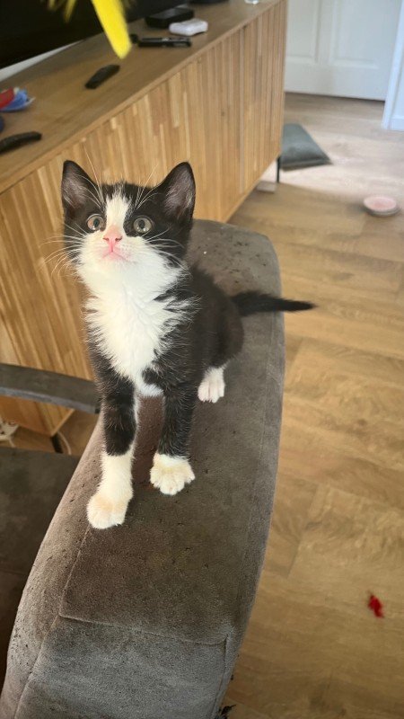 Luna