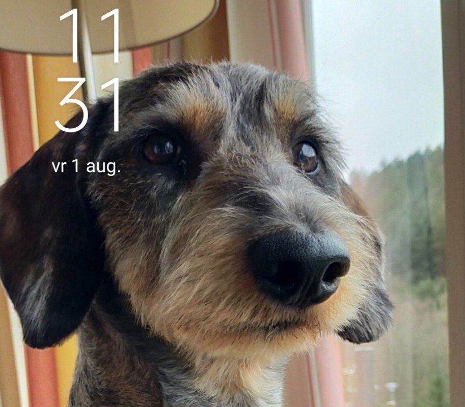 Joop