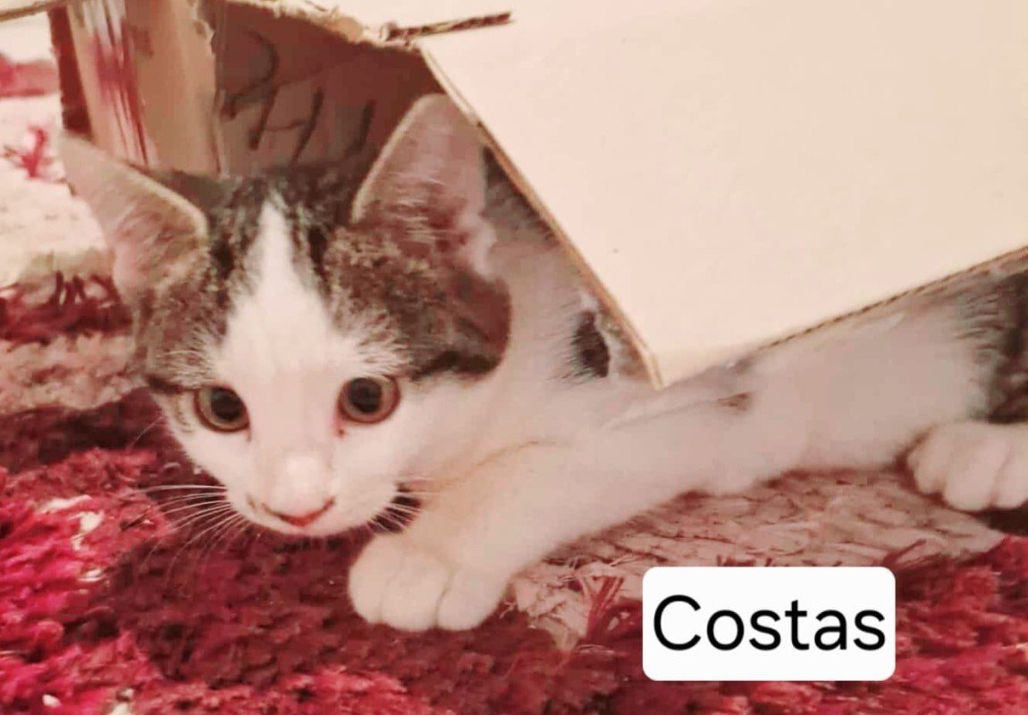 Costas