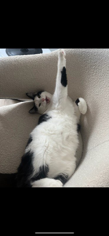 Mikky