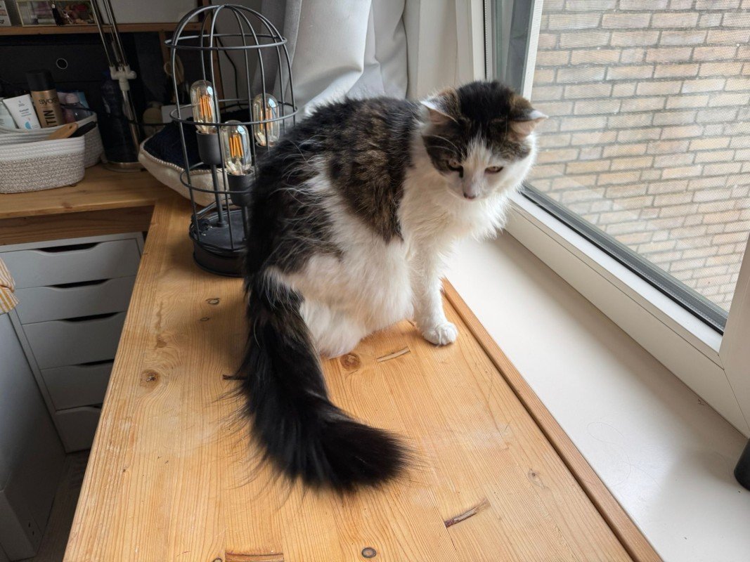 Max