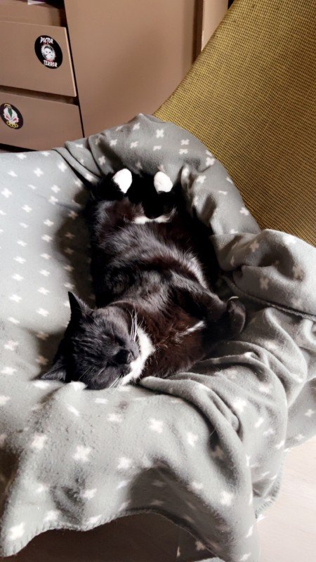 Zoë