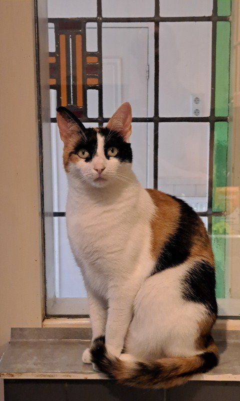 Gwen