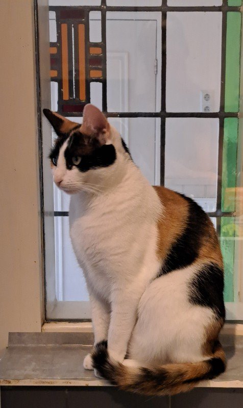 Gwen