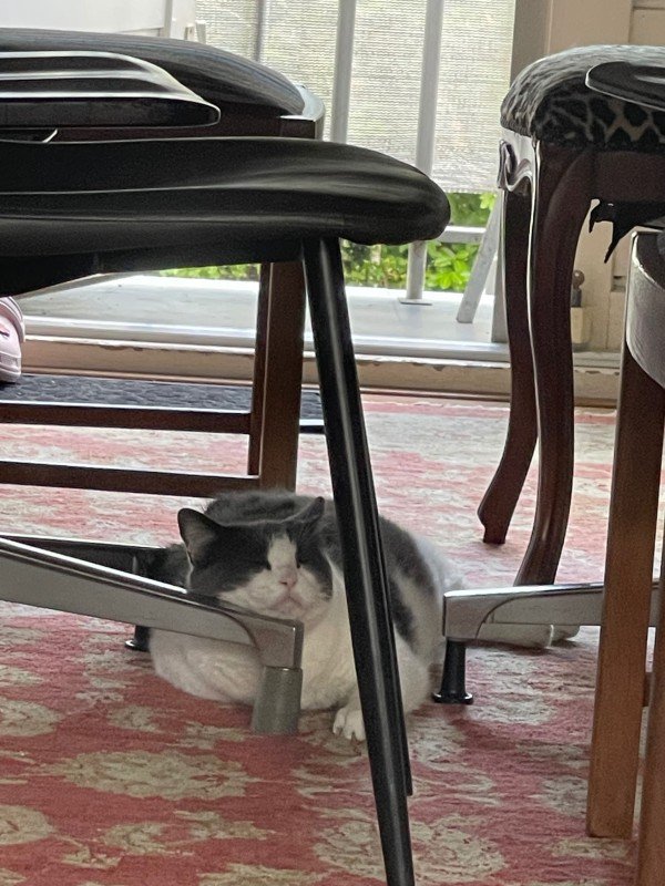 Louie