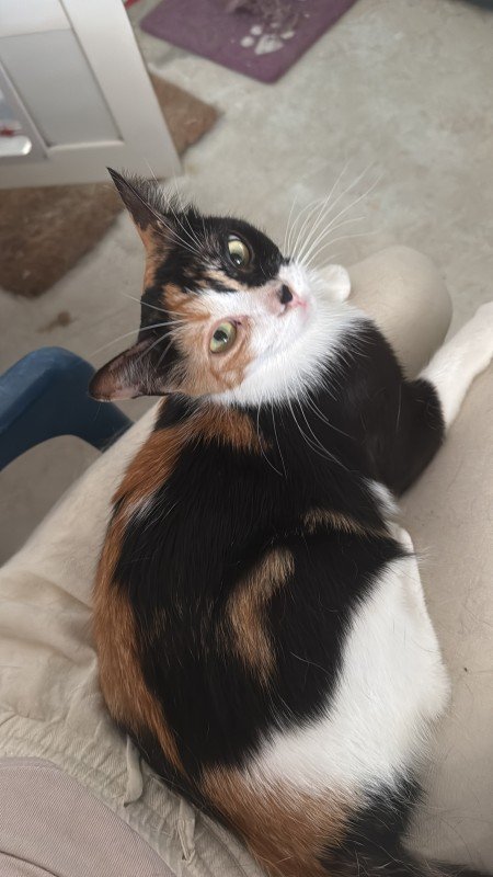 Luna