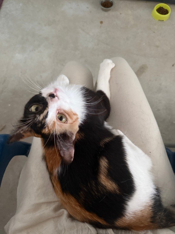 Luna