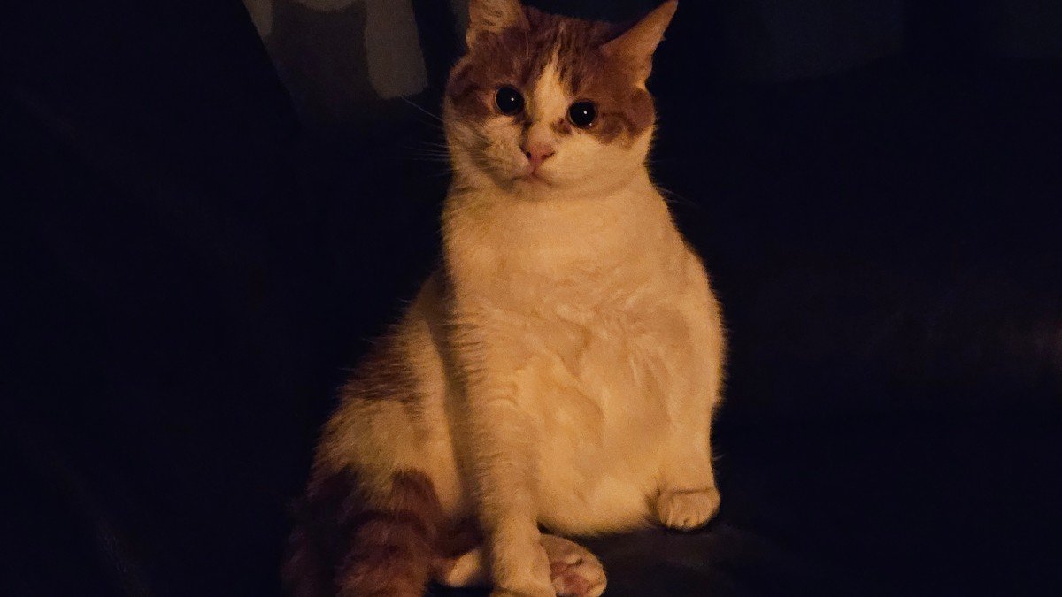 Hendrik