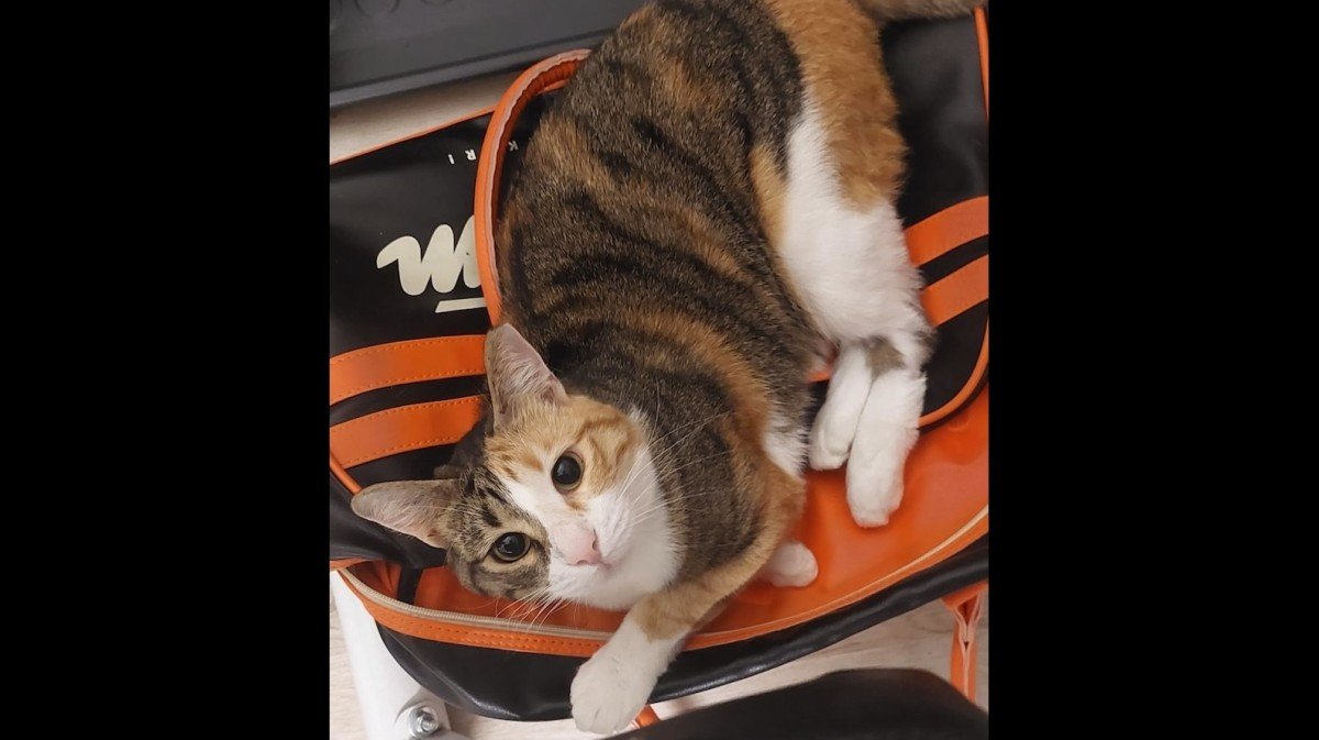 Gina