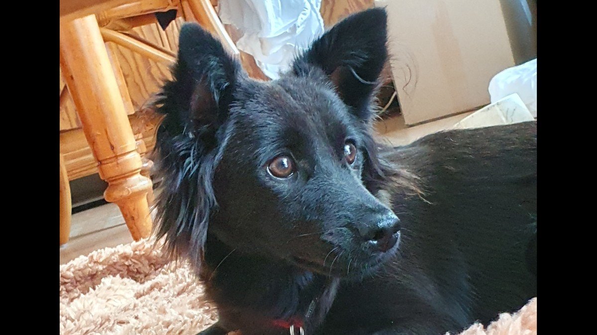 Mia