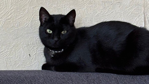Mia