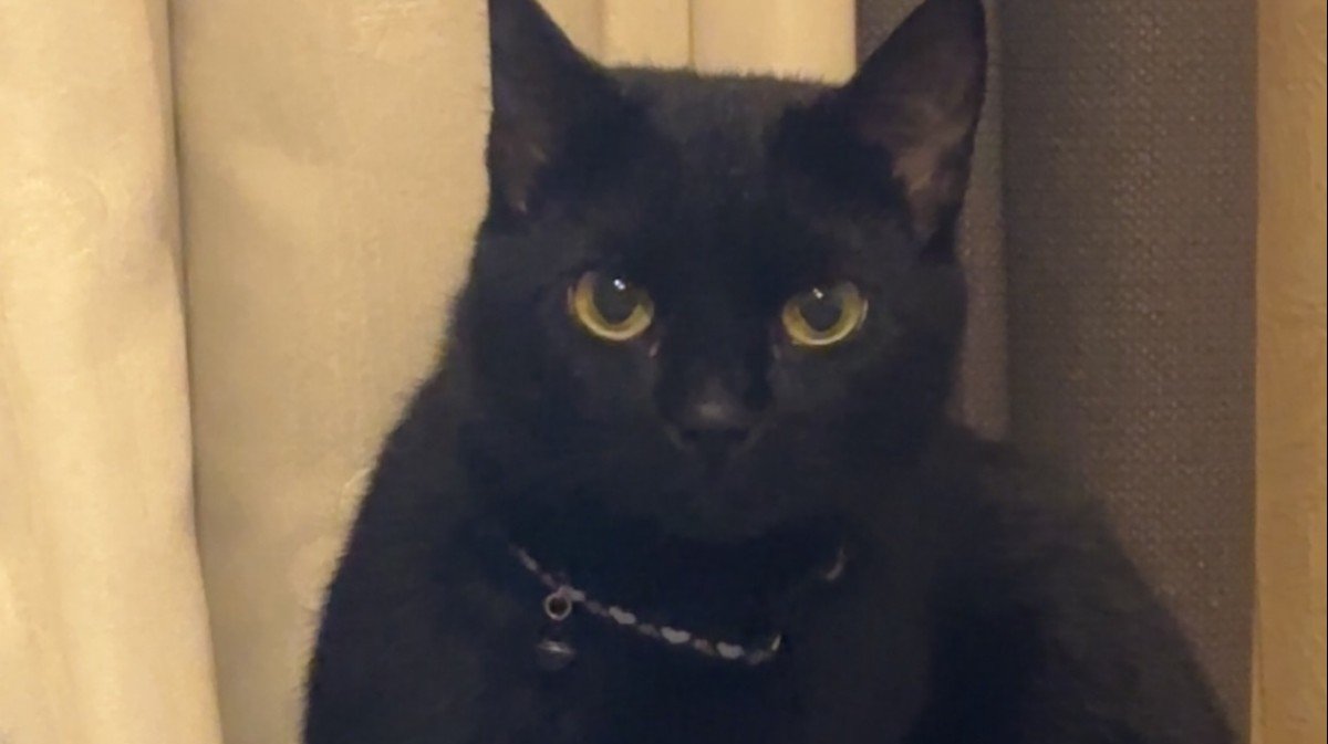 Mia