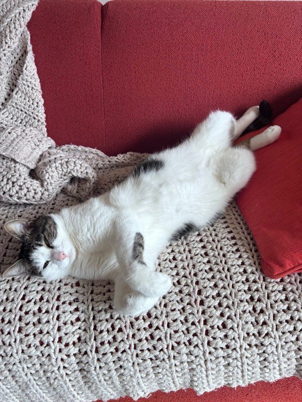 Cloë