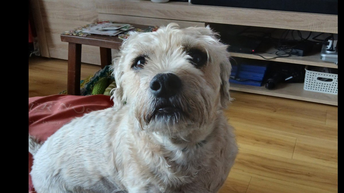 Pablo