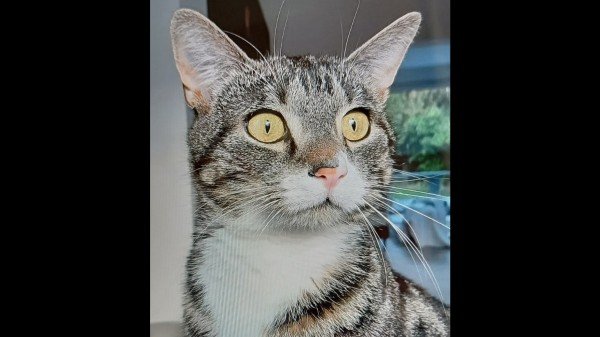 Floyd