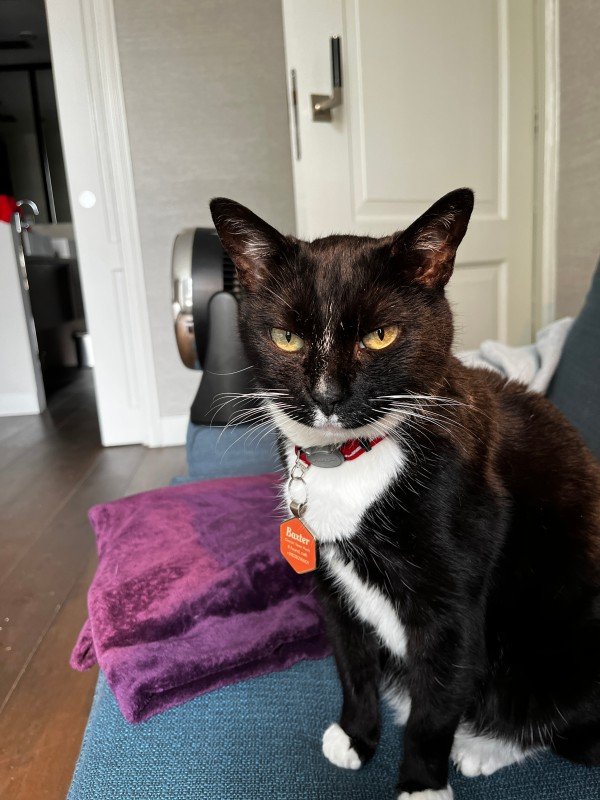 Baxter