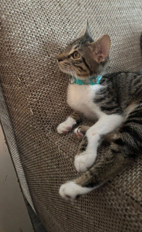 Suzie