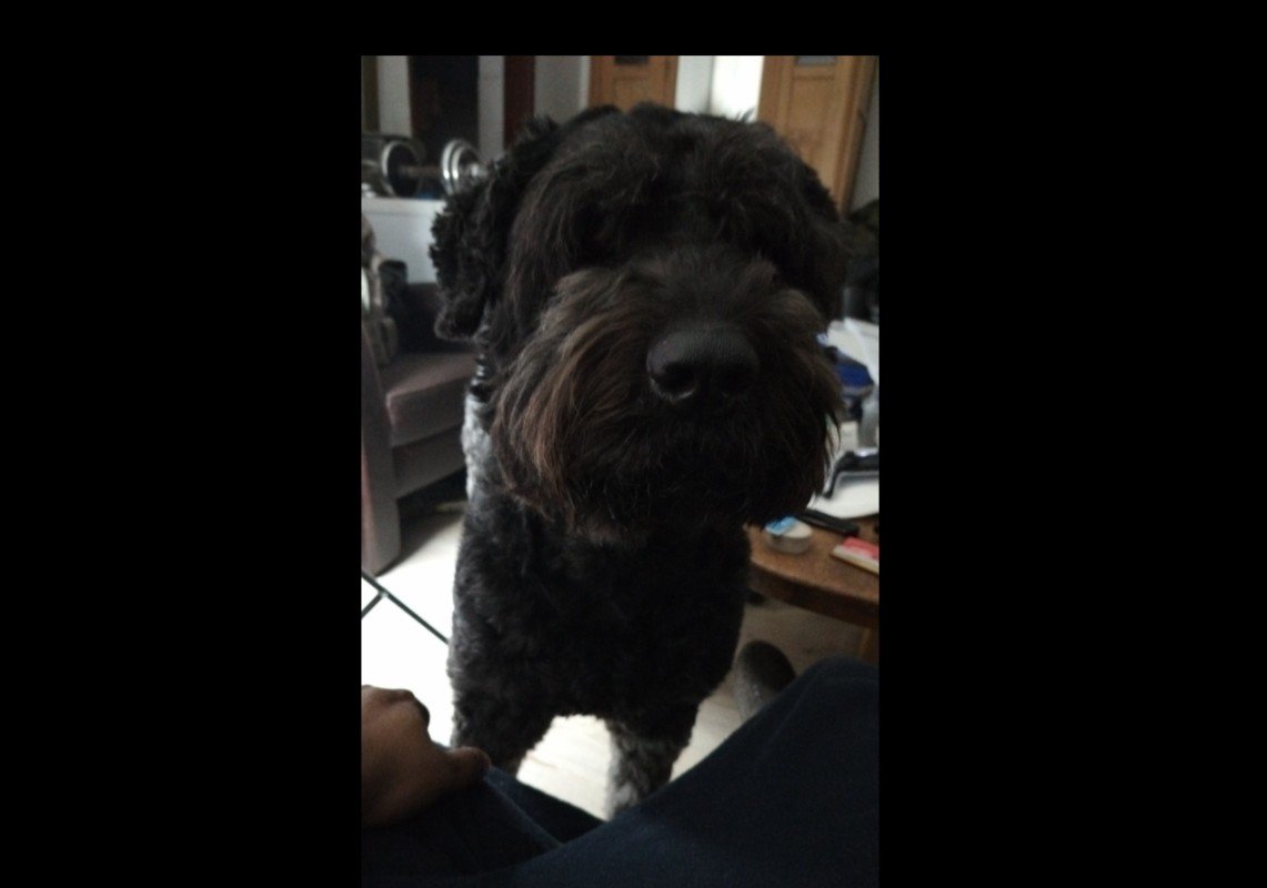 *SPOED* Bruce