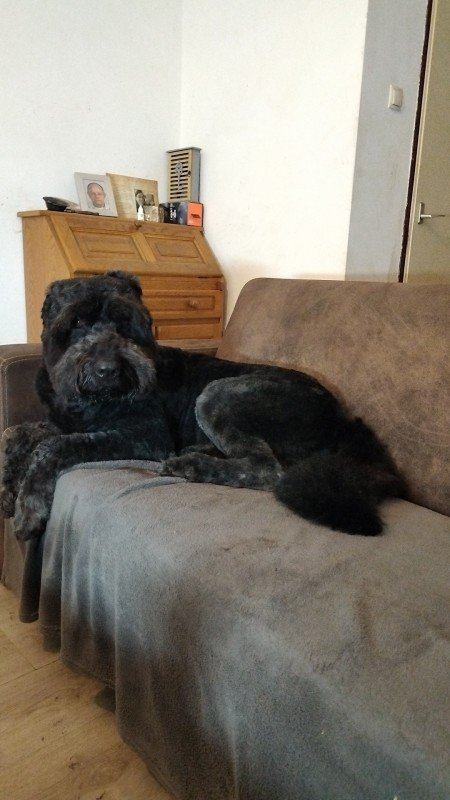 *SPOED* Bruce