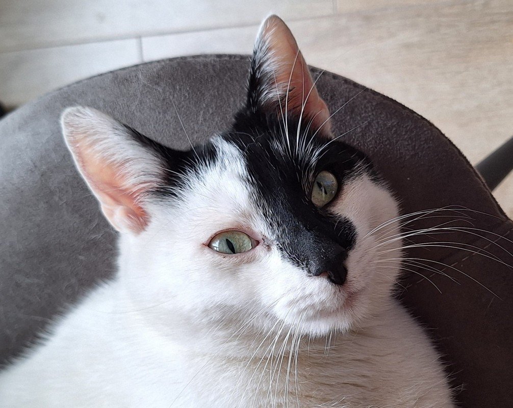 Zoë