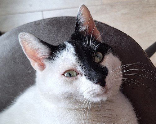 Zoë