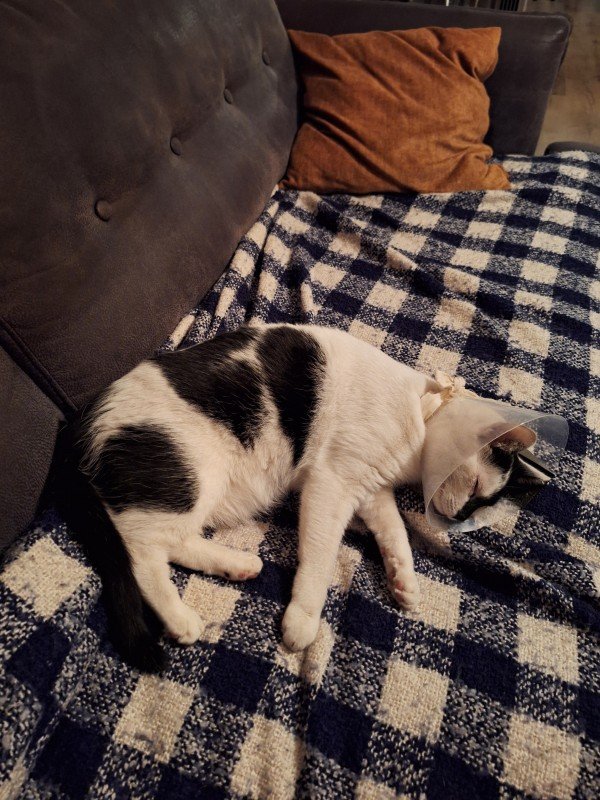 Zoë