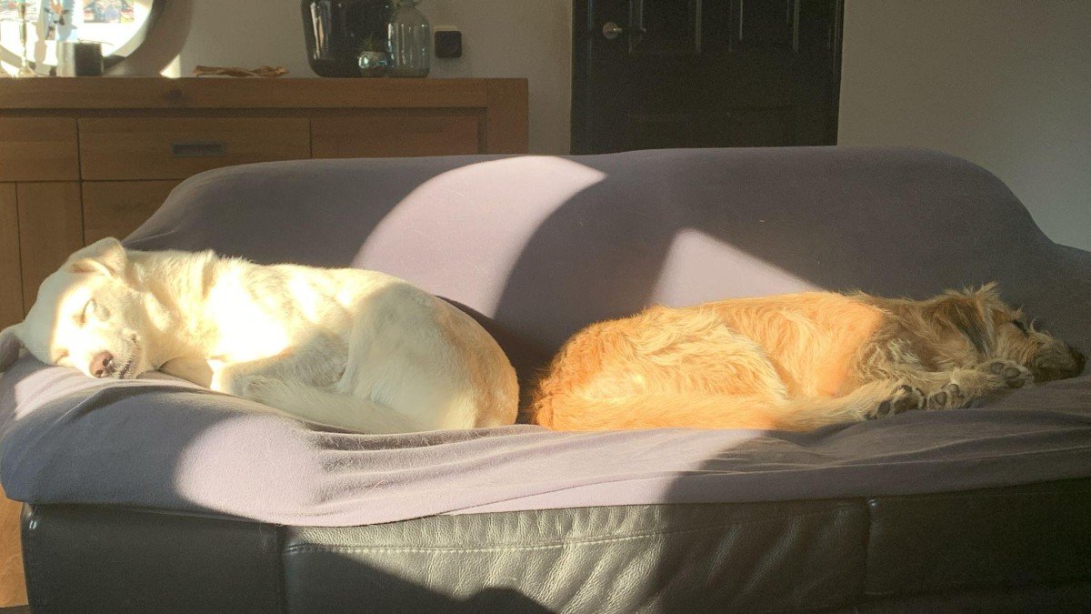 Nina en Elkie