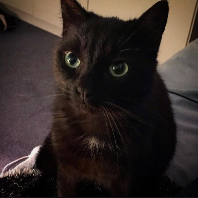 Blacky