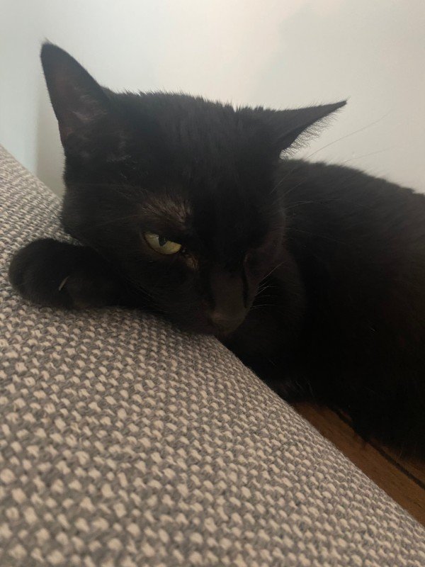 Tobi