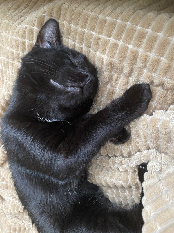 Tobi