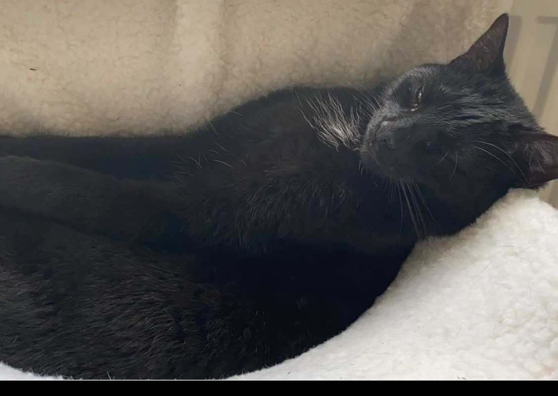 Tobi