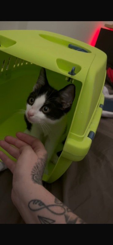 Salem