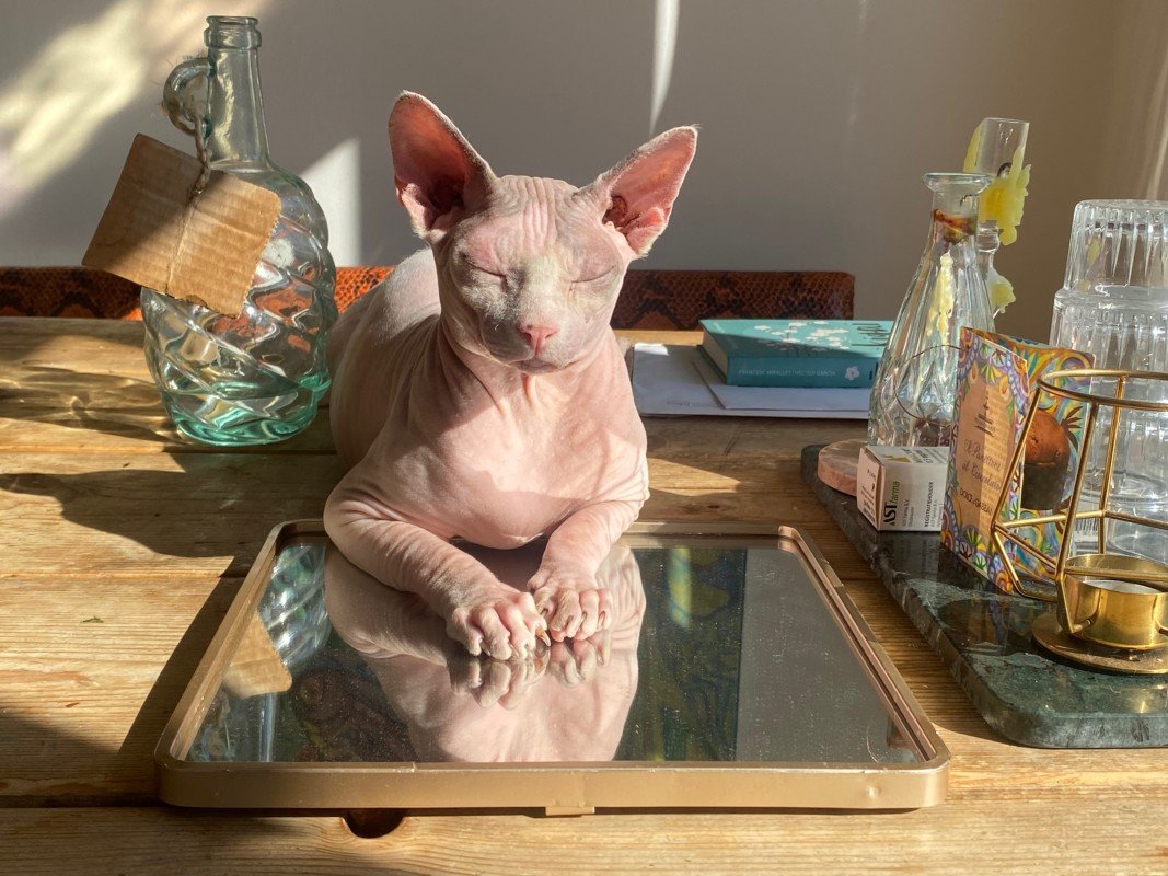 Ramses