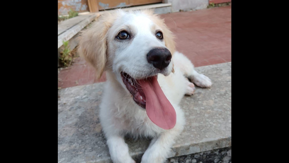 Asia
