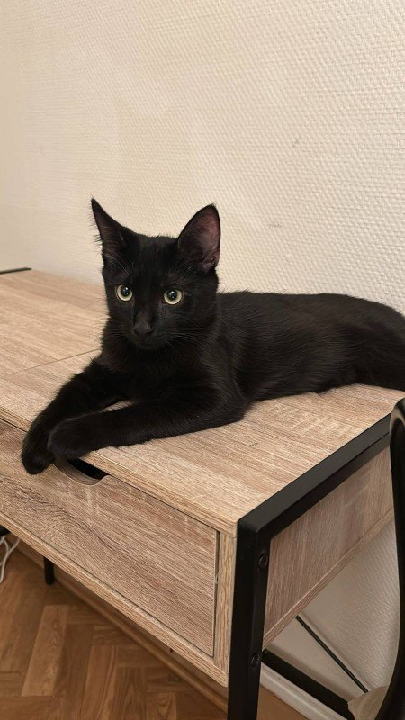 Coca