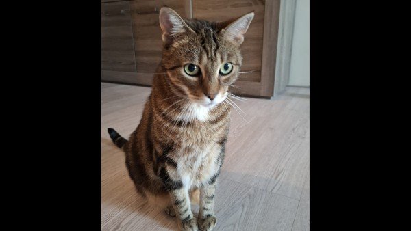 Milo