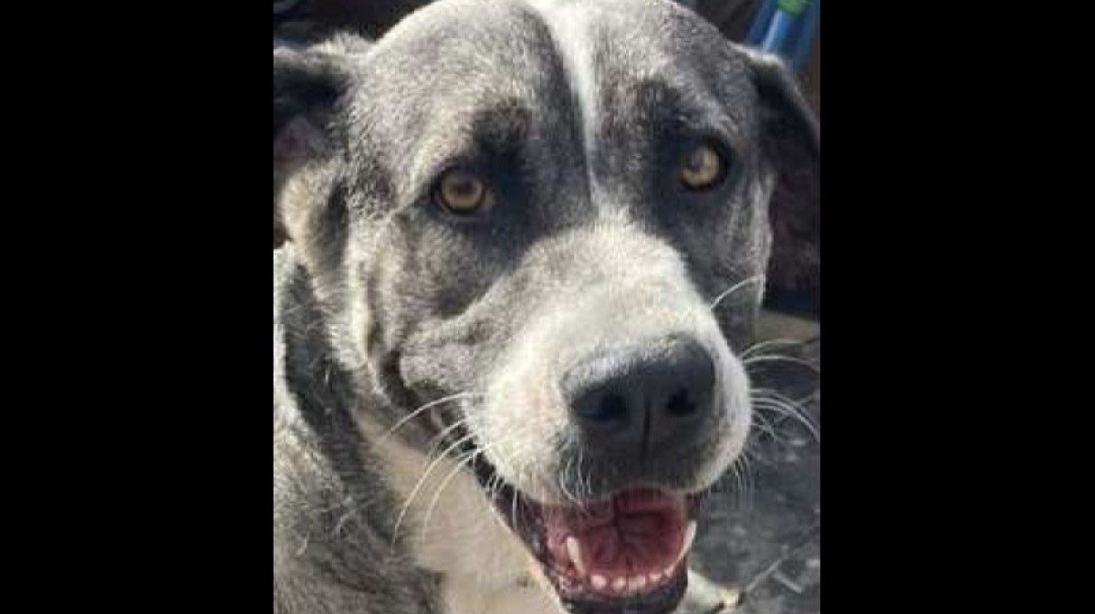 Kira