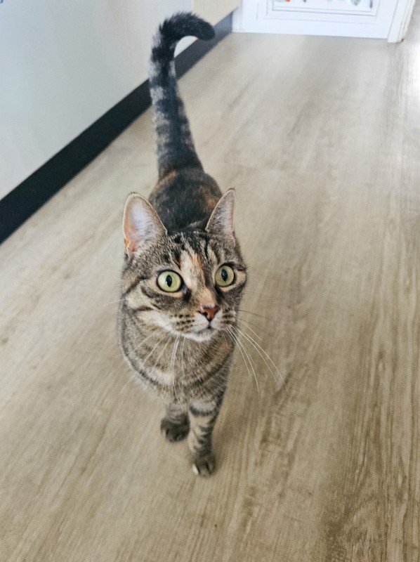 Zoë