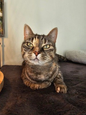Zoë