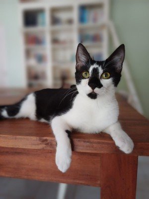 Eloise