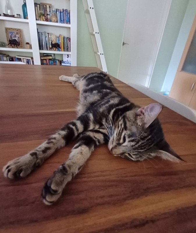Eleanor