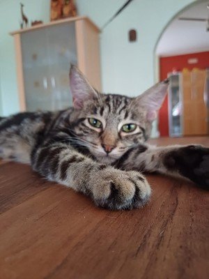 Eleanor