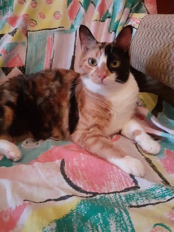 Susan