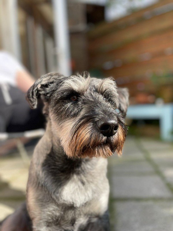 Ralph
