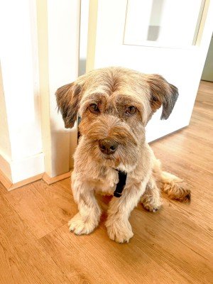Archie