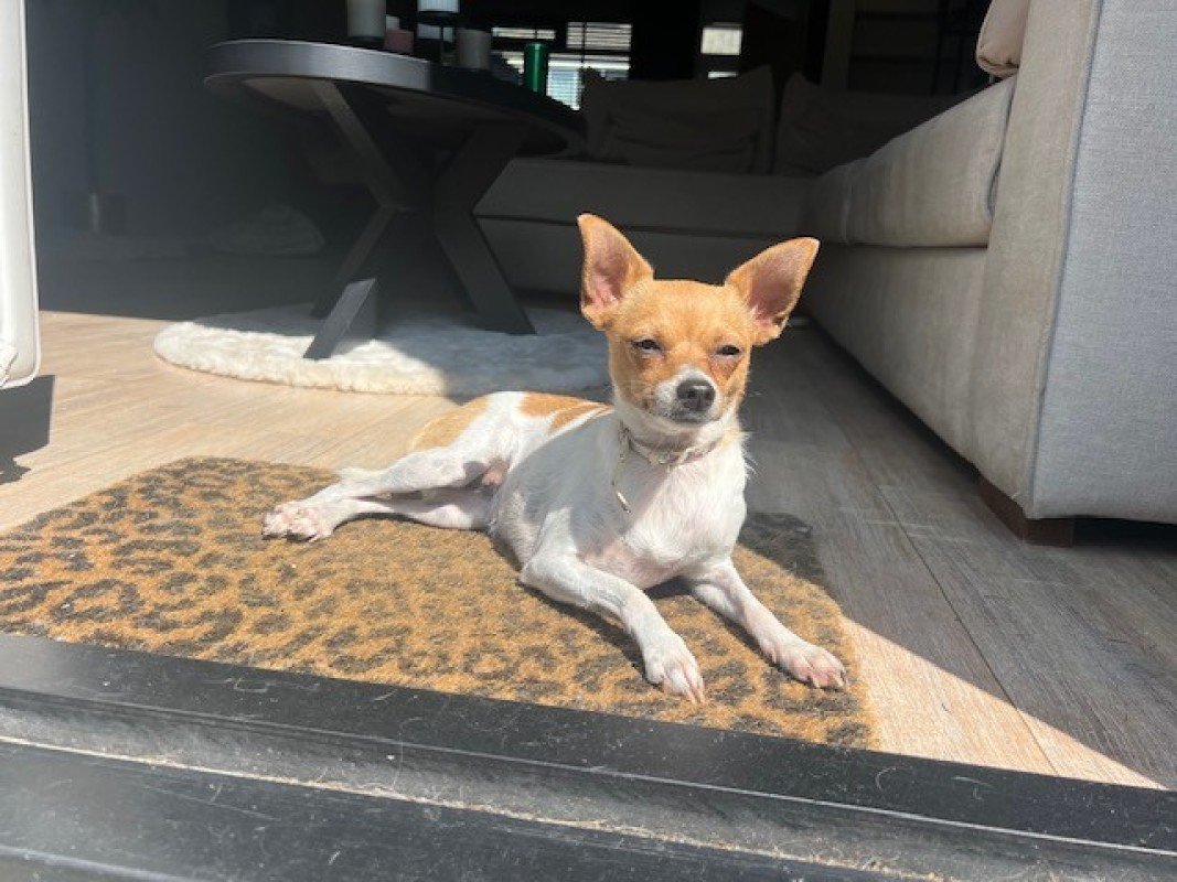 Kiki