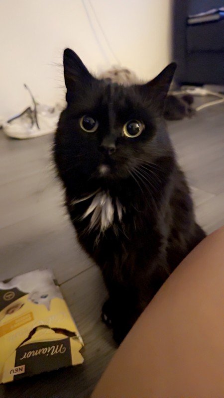 Tiny