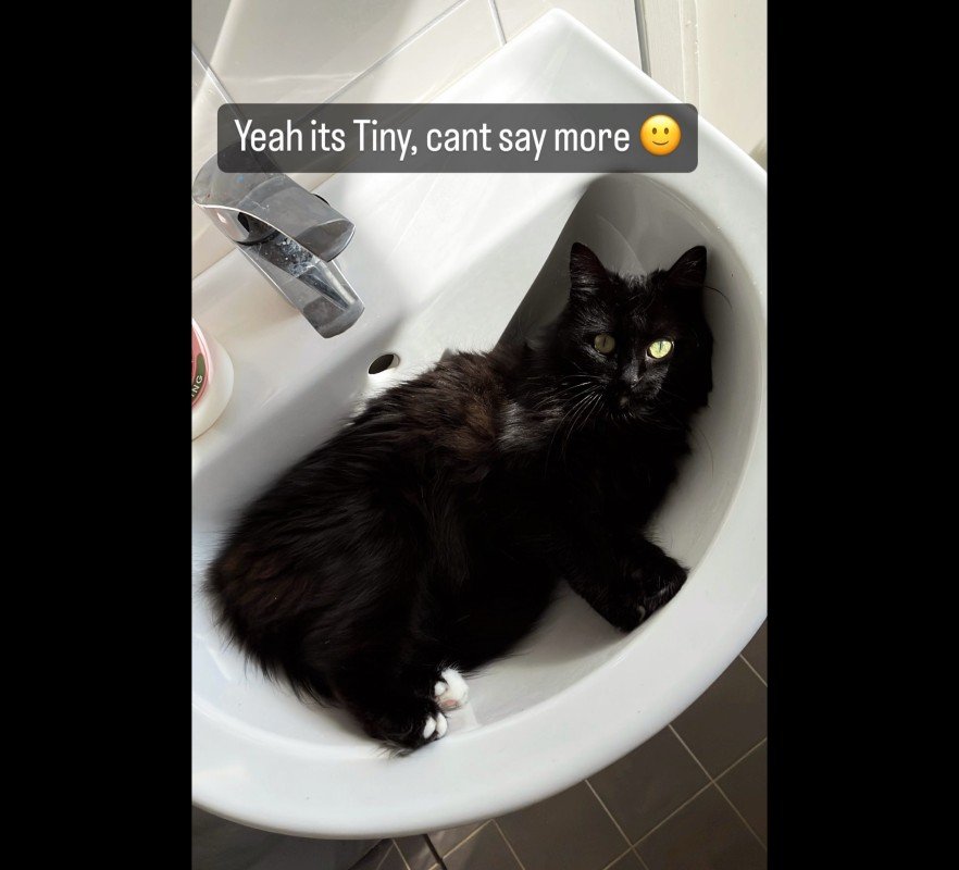 Tiny