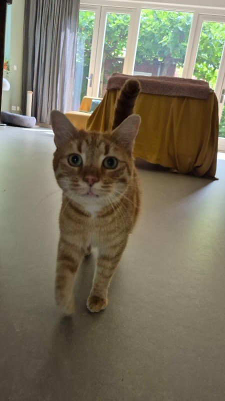 Max